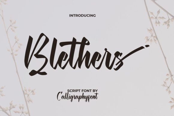 Elevate Your Brand with Blethers: A Professional Font for Creative Businesses