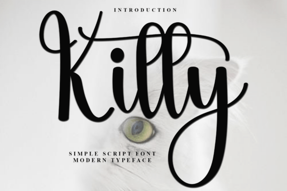How Kitty Became Our Secret Weapon for Clearer Campaign Messaging