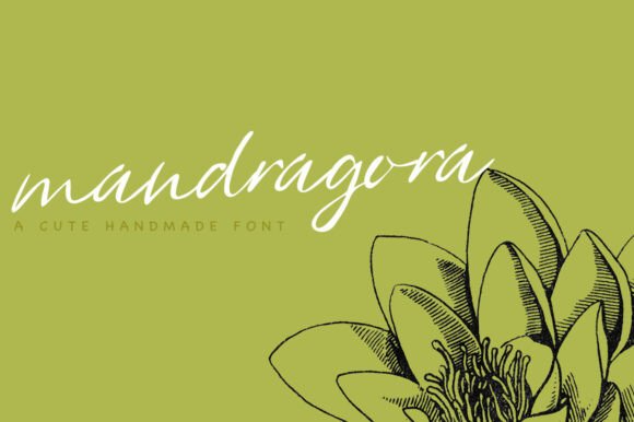 Mandragora: A Designer's Honest Take on a Modern Script