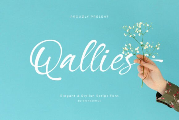 Qallies: The Script Font Built for Modern Campaigns