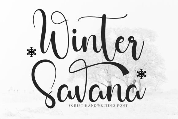 The Winter Savana Font: A Designer’s Experience with a Graceful Script