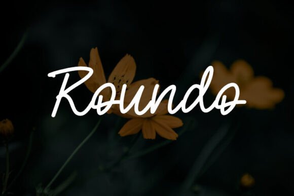Why Roundo Became Our Go-To Editorial Font